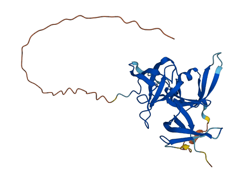 Spin2c 3D structure