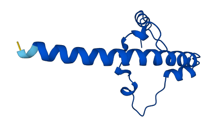 RPL13AP3 3D structure