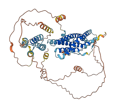 NEPRO 3D structure