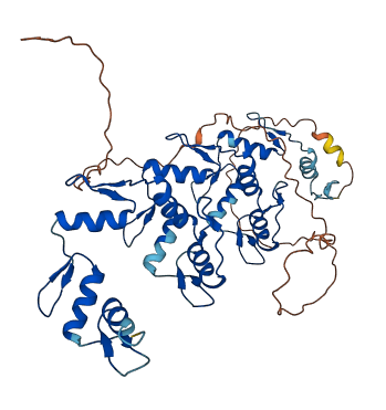 ZNF774 3D structure