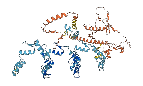 ZNF544 3D structure