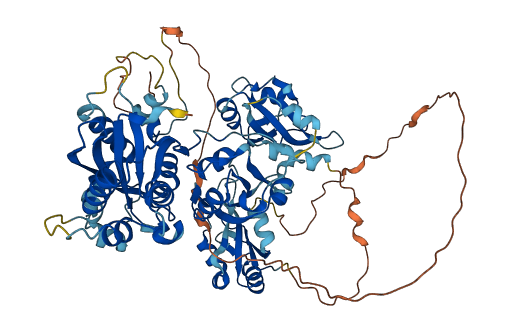 ESRP1 3D structure