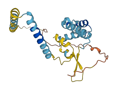 DPY19L2P1 3D structure