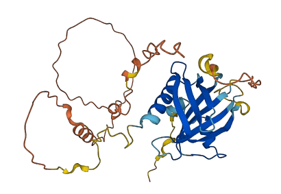 FAM71F2 3D structure
