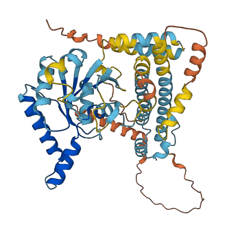 IRGC 3D structure