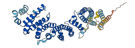 TTI2 3D structure