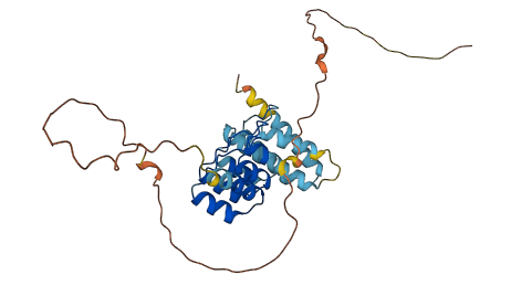 ANKRD54 3D structure