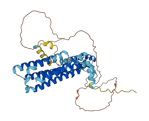 SLC30A6 3D structure