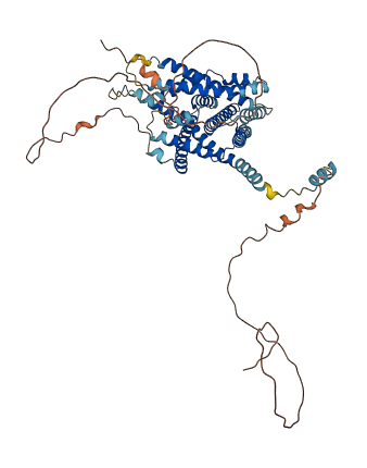 TAPT1 3D structure