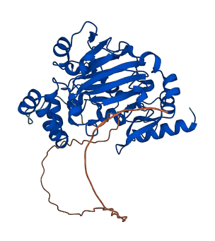 JMJD6 3D structure