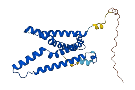 STEAP1B 3D structure