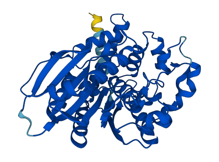 AADACL2 3D structure