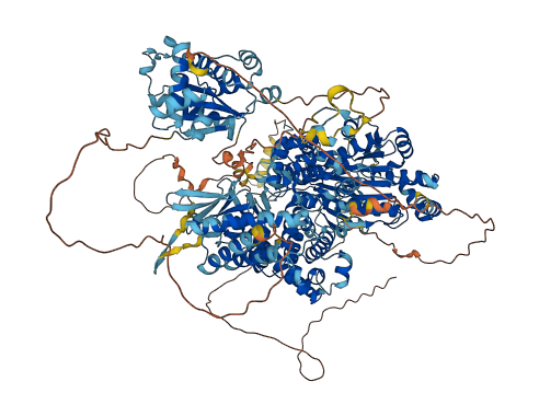 DHX57 3D structure