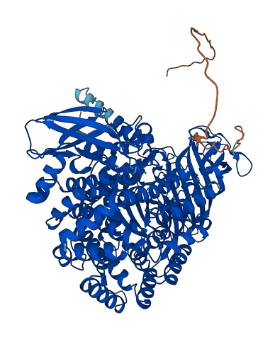 ERAP2 3D structure