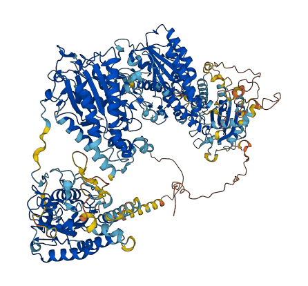 PLB1 3D structure