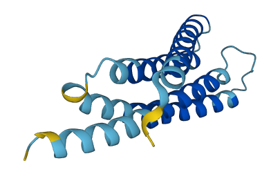 SLC48A1 3D structure
