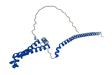 PMF1 3D structure