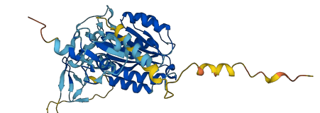 GTF2H2C 3D structure