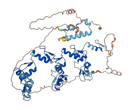 ZNF343 3D structure