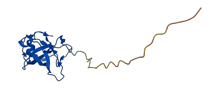 MRPL14 3D structure