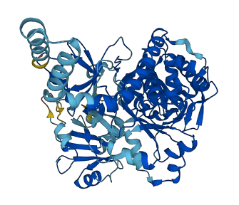 SLC27A4 3D structure