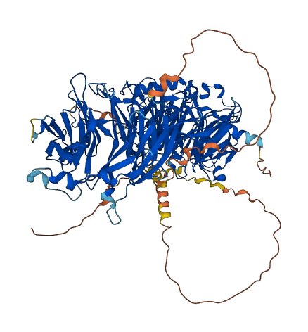 LLGL2 3D structure