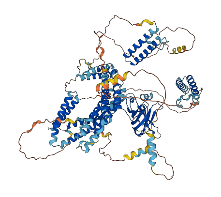 CC2D1A 3D structure