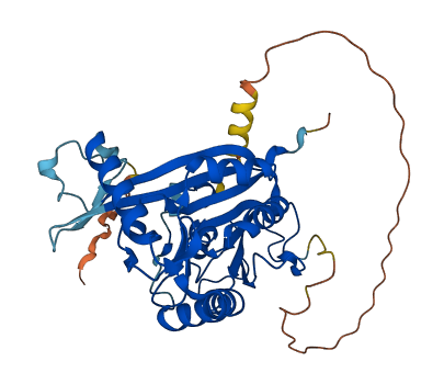 METTL2B 3D structure