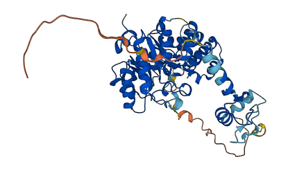 DUS1L 3D structure