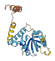 C3orf33 3D structure