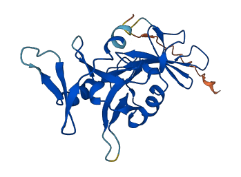 C8orf82 3D structure
