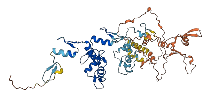 ZNF529 3D structure