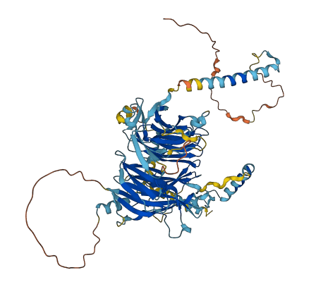 WDR93 3D structure