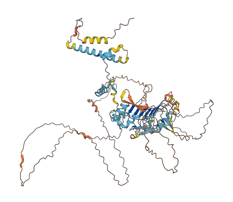 XRRA1 3D structure