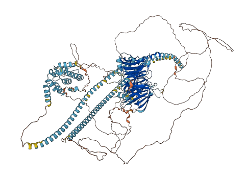 EDC4 3D structure
