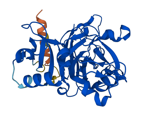 FAHD2B 3D structure
