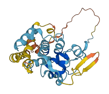 EBLN2 3D structure