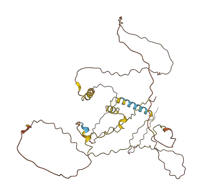 C16orf46 3D structure