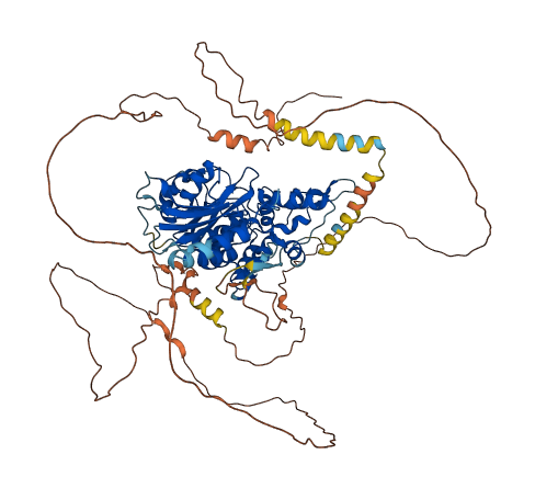 DENND1B 3D structure