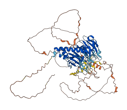FBXO42 3D structure