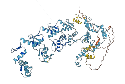 ZNF585A 3D structure