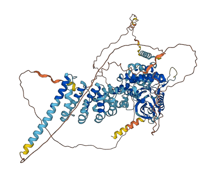SCYL2 3D structure