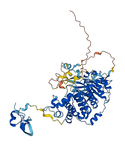 PGBD2 3D structure