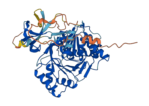 ACSM6 3D structure