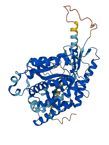 PDXDC2P 3D structure