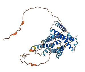 NIPAL3 3D structure