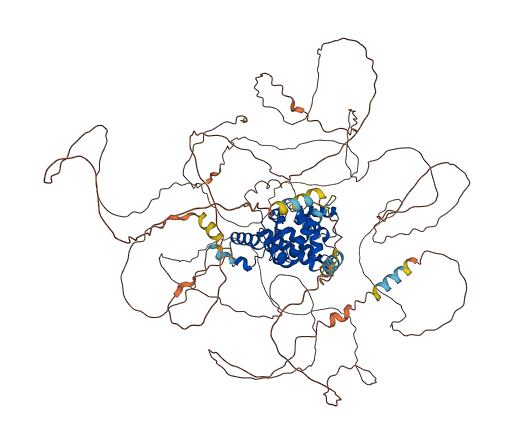 ARHGAP11A 3D structure