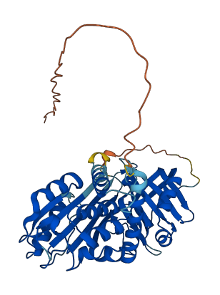 Serpina3a 3D structure
