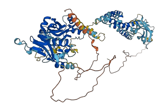 CNNM4 3D structure