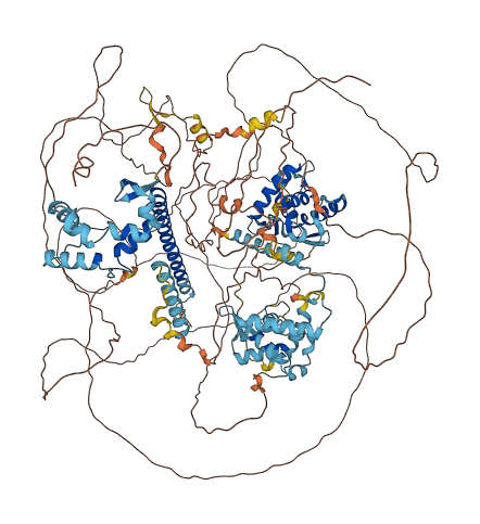 NFRKB 3D structure